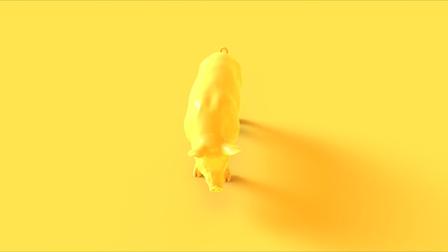 Yellow Pig Front View 3d illustration 3d render