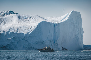 Arctic nature landscape with icebergs in Greenland icefjord with midnight sun sunset sunrise in the...