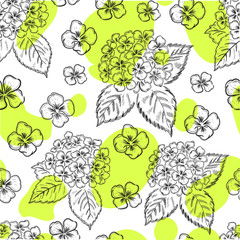 Hydrangea, flowers , botanical vector seamless pattern on white background. Concept for print, wallpaper, wrapping paper 