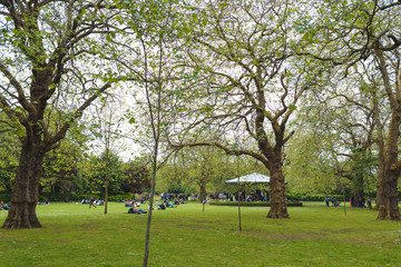 people having rest in park