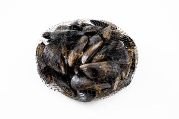 Mussels with a white background