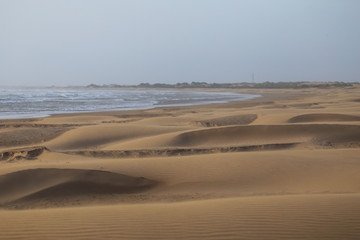 Fototapeta na wymiar The endless dunes of Morocco on the beach
