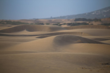 Fototapeta na wymiar The endless dunes of Morocco on the beach