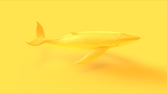 Yellow Humpback Whale 3d illustration 3d render