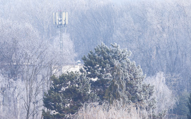 Frozen trees on an early winter morning in Zagreb with mobile tower