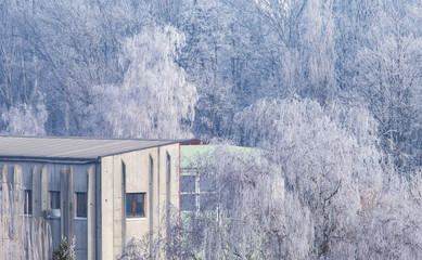 Building in New Zagreb surrounded with frozen trees in early winter morning