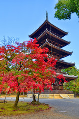 仁和寺の五重の塔と紅葉