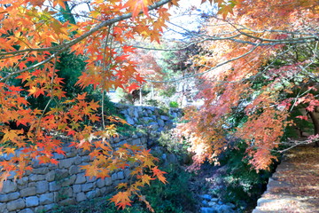 아름다운 한국의 가을 단풍