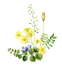 Watercolor composition of wild yellow flowers and leaves.
