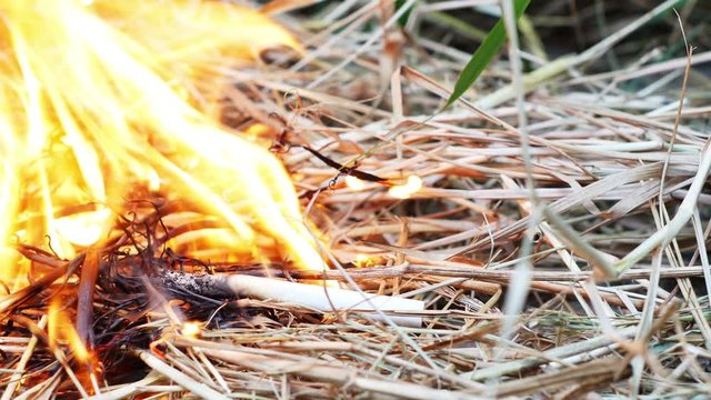 The fire burned on the hay from the cigarette butt.