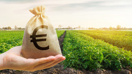 Money bag on the background of agricultural crops in the hand of the farmer. Agricultural startups. Profit from agribusiness. Lending and subsidizing farmers. Grants and support. Land value and rent. - obrazy, fototapety, plakaty