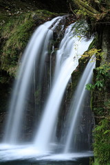 Obraz premium 河津七滝 初景滝