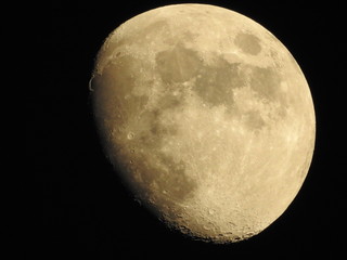 Goldener Henkel - zunehmender Mond