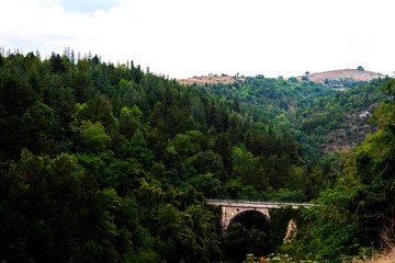 La natura che ci sovrasta