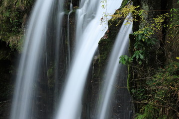 河津七滝　初景滝