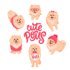 Pomeranian Spitz in clothes vector set isolated on white. Cute Poms puppies.