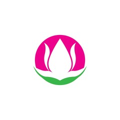 Vector illustration icon of beautiful tulips with white background