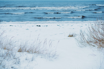 Beach in winter