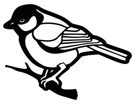 recommend clip art: Bird tit sits on a branch. Line graphics. Vector illustration