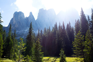 the mountain landscape
