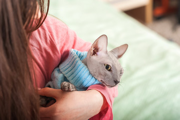Girl with a cat in the bedroom on the bed. Young woman kisses and hugs the Sphinx at home close-up and copy space. Pets and people.