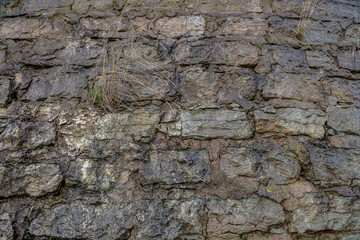 Natural wet wall background. Limestone bricks.