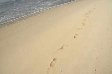 Spuren im Sand