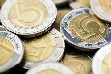 Polish coins macro shot