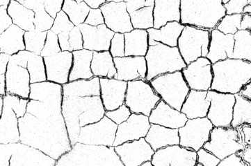 crack ground for abstract background on white background