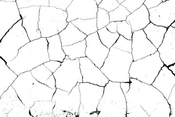 crack ground for abstract background on white background