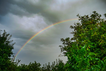 rainbow in the sky after rain