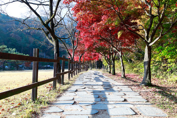 아름다운 한국의 가을 단풍