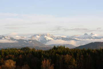 Alpes suisses se découpant derrière la forêt