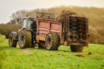 farmer spreading manure in fields in autumn