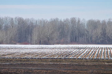 Early spring fields covered with snow, Melting snow on the plowed field