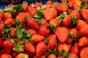 fresh strawberries on the market