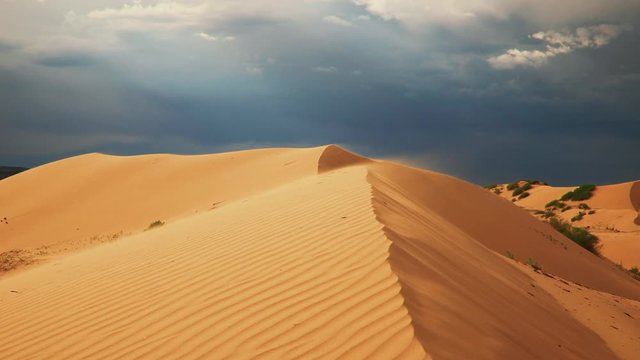 Strong wind in the desert. Sand blows from the dunes. Sahara desert