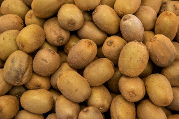 fresh kiwis at the market 