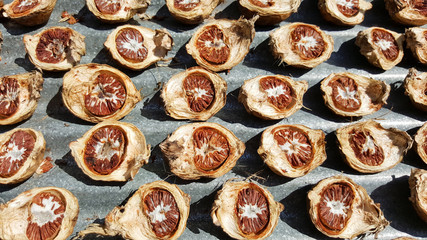 close-up dried areca nut, betel nut, thailand