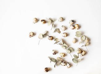 Easter creative composition from Quail eggs and eucalyptus on a white background. Top view