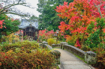 京都　曼殊院天満宮