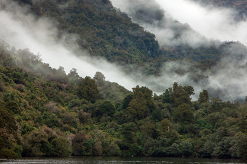 Doubtful Sound. Fiordland. New Zealand. Clouds Forest