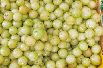 Organic Indian gooseberries in cardboard box at local market in Singapore