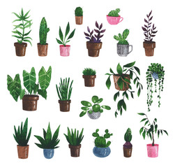Watercolor set of plants in pots. Cactuses, aloe, succulents, hyacinth, senecio, sansevieria, pilea. Potted plant collection. Houseplant for postcards, print, poster and scrapbooking design