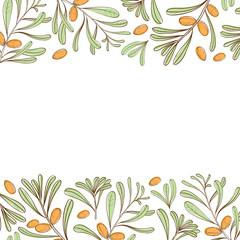 Background with branches of argania for posters, covers and labels for cosmetics. Vector.