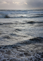 Muriwai Beach coast. Auckland New Zealand. Ocean.