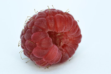fresh raspberries on white background