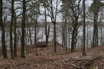 Abschüssige Waldlandschaft an einem Fluss