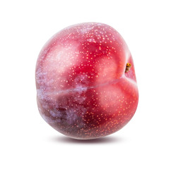 Plum isolated on white background with clipping path