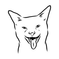 vector illustration of a cat